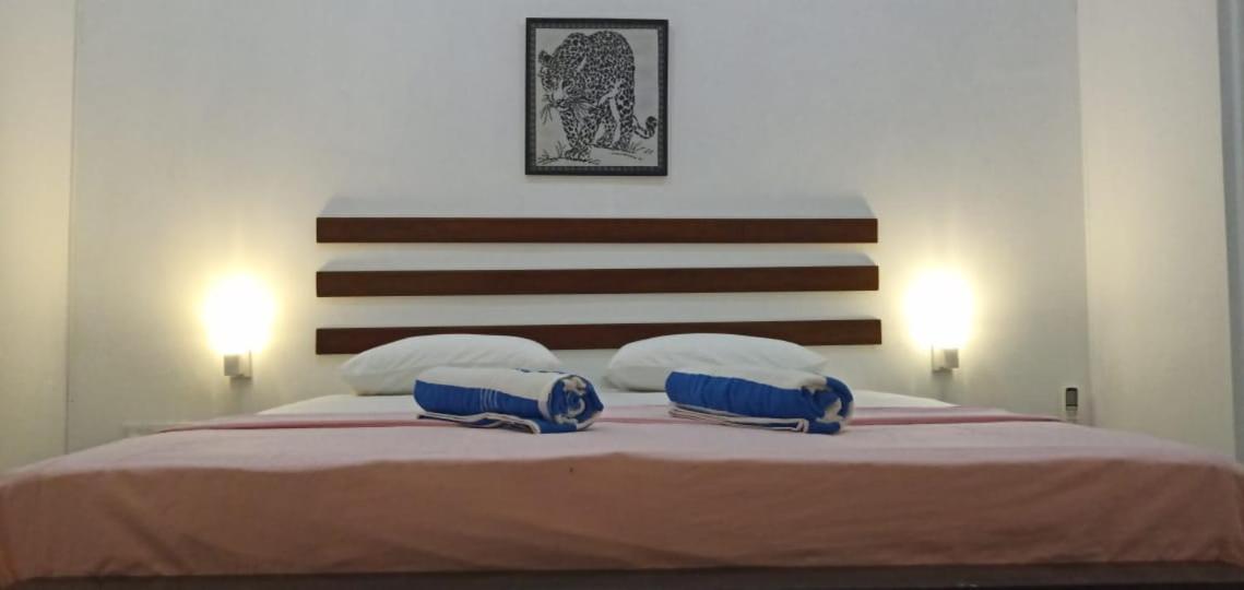 Petit Guest House Negombo Exteriér fotografie