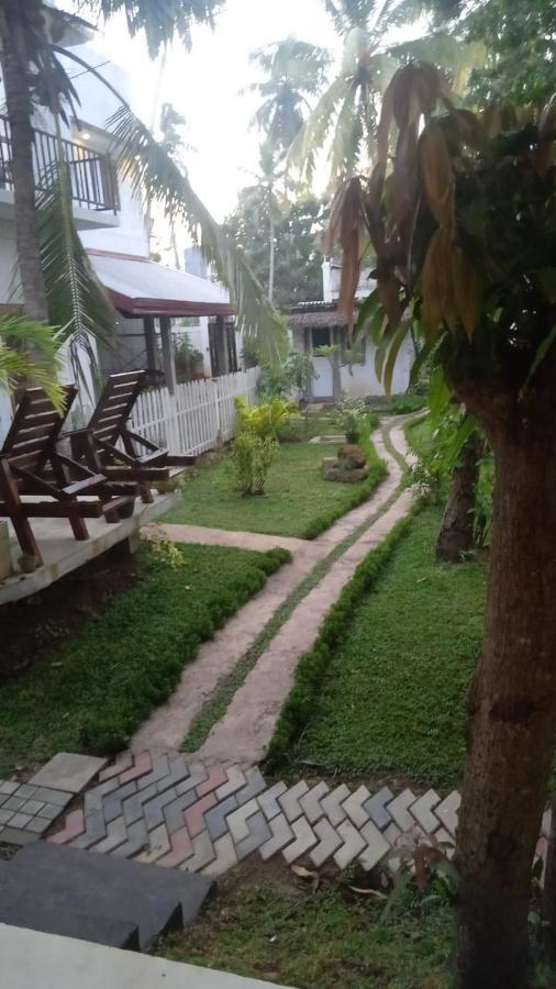 Petit Guest House Negombo Exteriér fotografie